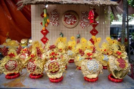 Dừa dát vàng 24K độc đáo thu hút khách dịp Tết Nguyên đán