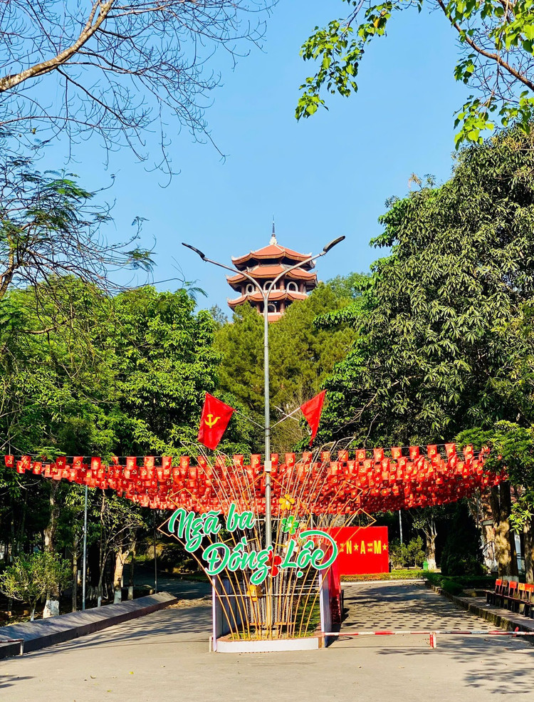 Hang van nguoi dan den dang huong tri an tai Nga ba Dong Loc-Hinh-8