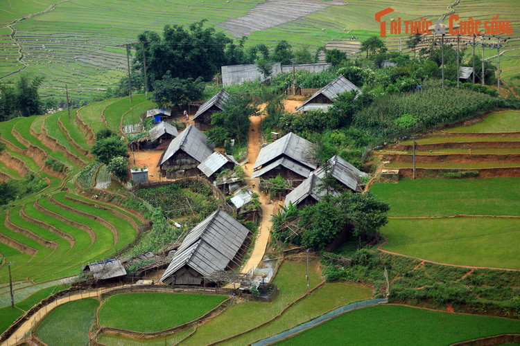 Ba “dia dang” tranh nang nong noi tieng nhat Viet Nam-Hinh-2