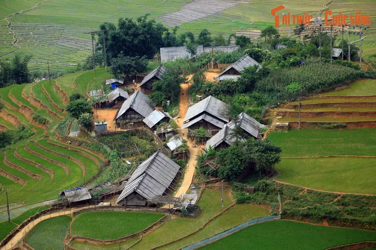 Ba “dia dang” tranh nang nong noi tieng nhat Viet Nam-Hinh-2