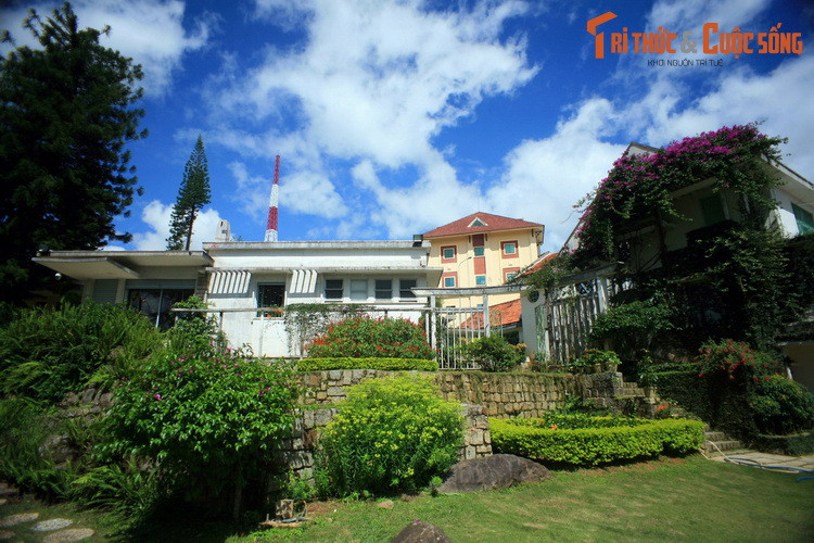 Ba “dia dang” tranh nang nong noi tieng nhat Viet Nam-Hinh-10