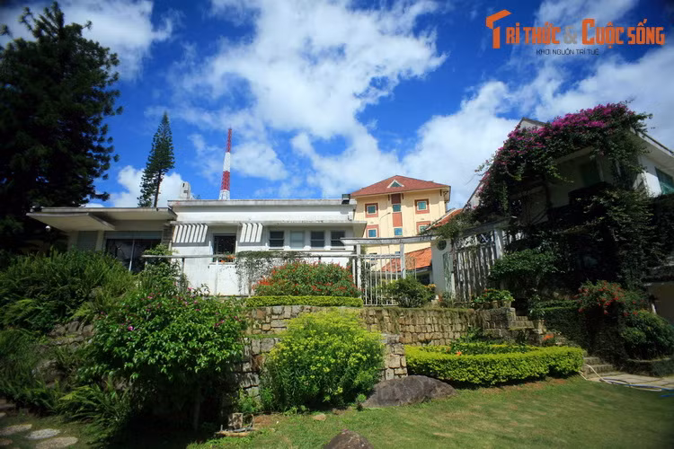 Ba “dia dang” tranh nang nong noi tieng nhat Viet Nam-Hinh-10