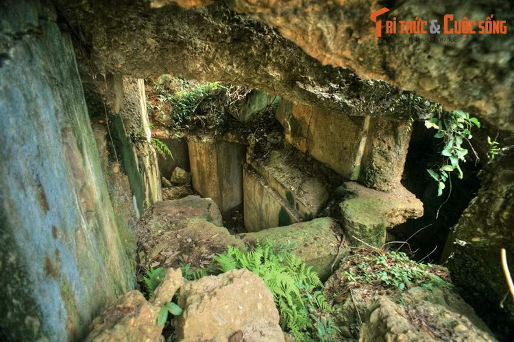 Can canh nhung phao dai co hoang phe noi tieng mien nui phia Bac-Hinh-4