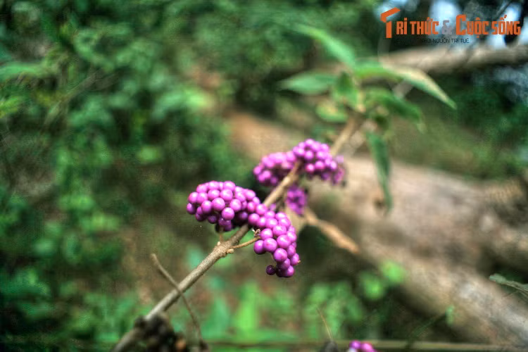 Kham pha ho nuoc duoc vi nhu “Vinh Ha Long” cua Dien Bien-Hinh-7