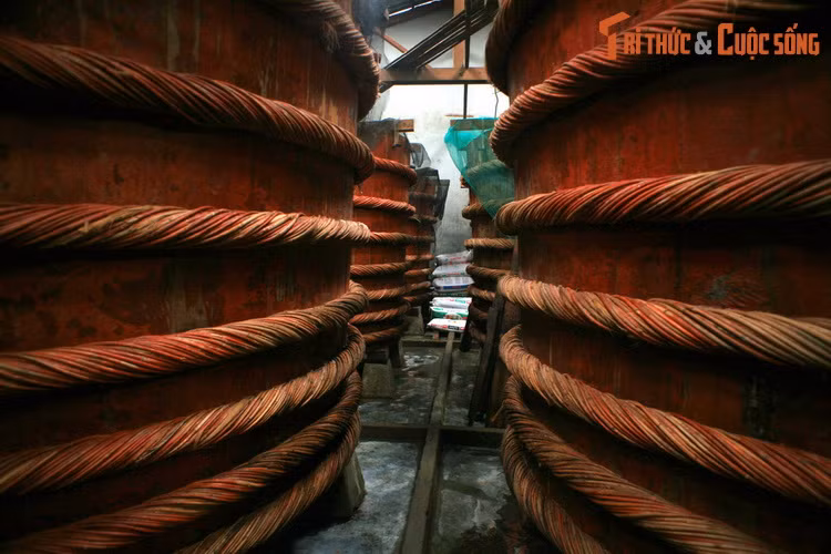 Loat trai nghiem thu vi chi co o dao ngoc Phu Quoc