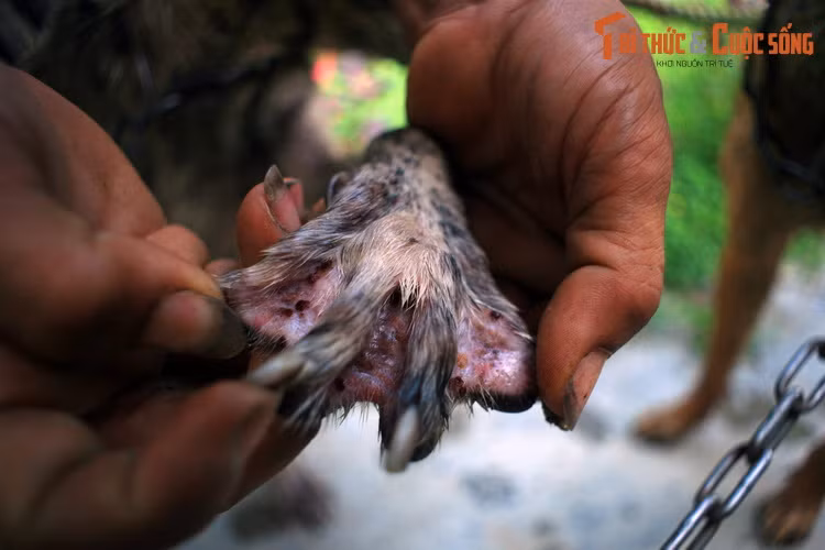 Loat trai nghiem thu vi chi co o dao ngoc Phu Quoc-Hinh-8