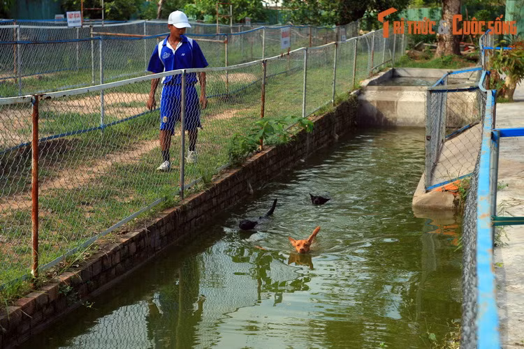 Loat trai nghiem thu vi chi co o dao ngoc Phu Quoc-Hinh-7