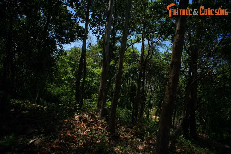 Tham ba dia danh thang nuc tieng troi Nam o Ha Tien-Hinh-12