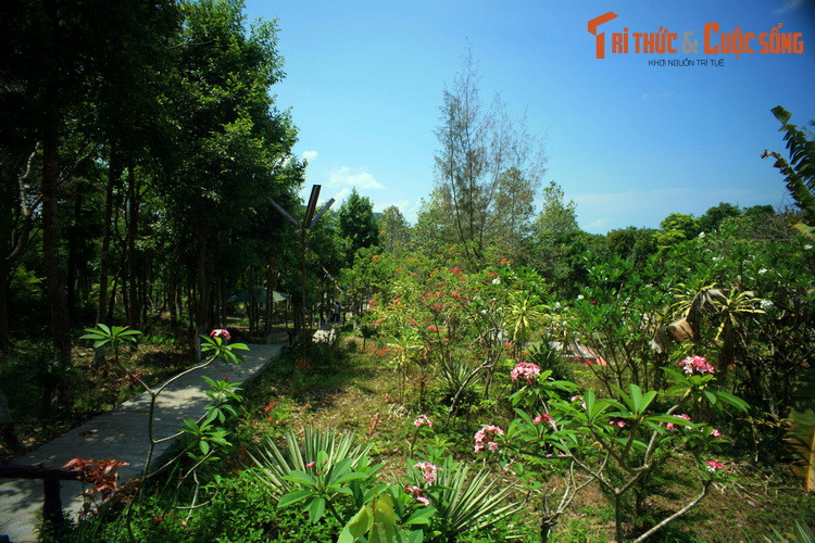 Tham ba dia danh thang nuc tieng troi Nam o Ha Tien-Hinh-11