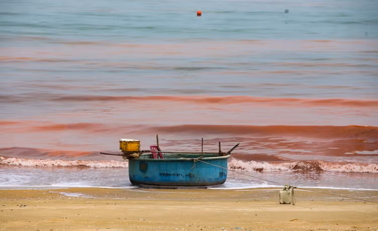 Nuoc bien o Ha Tinh doi mau bat thuong, nguoi dan lo lang