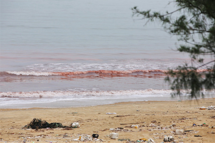 Nuoc bien o Ha Tinh doi mau bat thuong, nguoi dan lo lang-Hinh-4