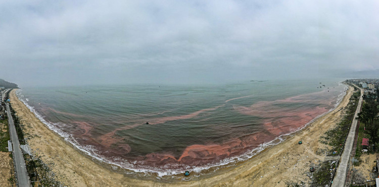 Nuoc bien o Ha Tinh doi mau bat thuong, nguoi dan lo lang-Hinh-2