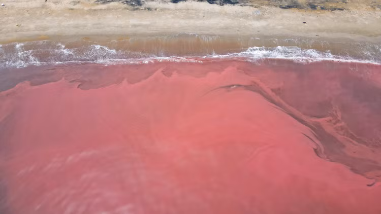 Nuoc bien o Ha Tinh doi mau bat thuong, nguoi dan lo lang-Hinh-3