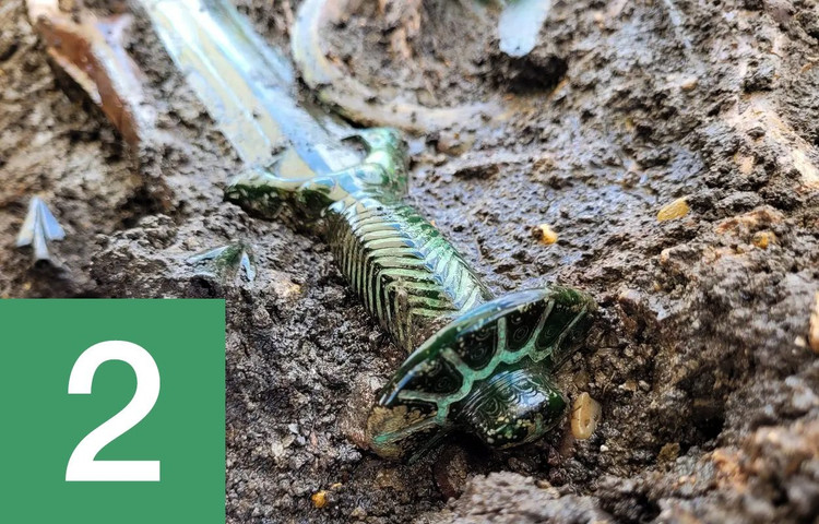 Top 10 phát hiện khảo cổ học nổi bật thế giới năm 2023 - Hình 2 Top 10 phat hien khao co hoc noi bat the gioi nam 2023-Hinh-2