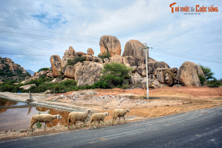 Lang nhin buc tranh phong canh dep ngo ngan cua Ninh Thuan-Hinh-9