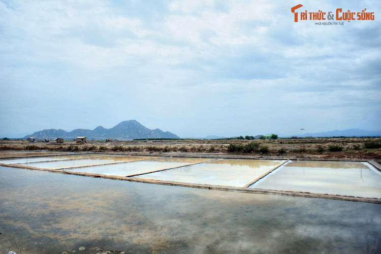 Lang nhin buc tranh phong canh dep ngo ngan cua Ninh Thuan-Hinh-8