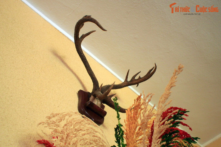 Chiem nguong do quy cua vua Bao Dai o pho nui Da Lat-Hinh-6