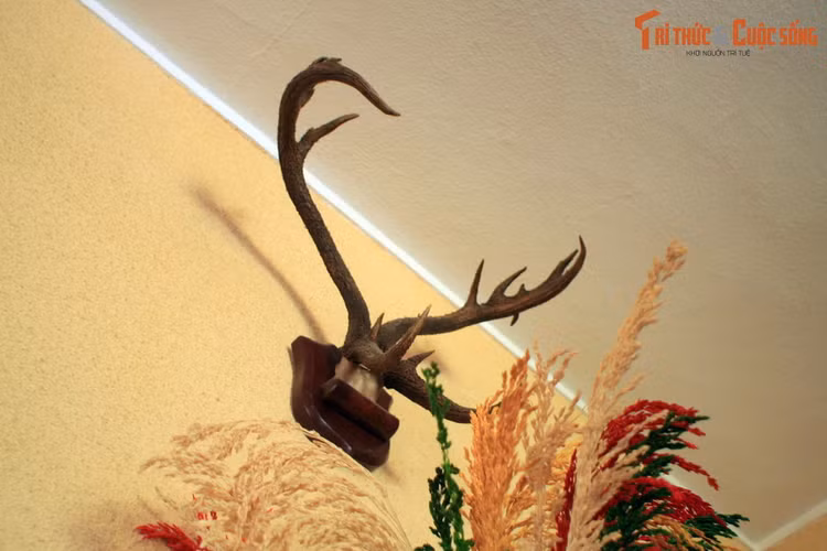 Chiem nguong do quy cua vua Bao Dai o pho nui Da Lat-Hinh-6