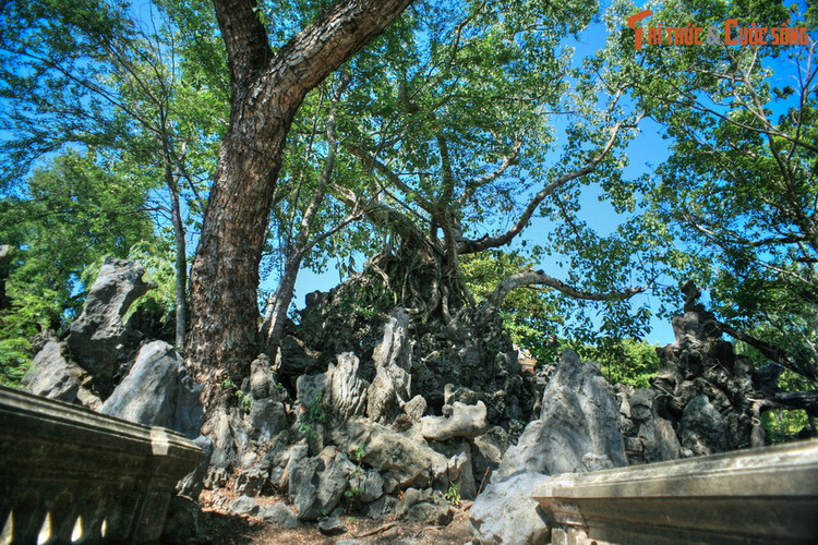 Da mat voi tuyet pham hon non bo trong Hoang thanh Hue-Hinh-6