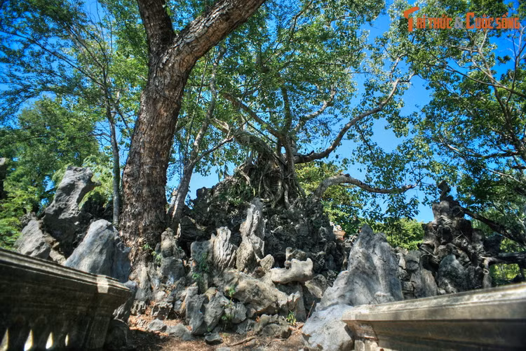 Da mat voi tuyet pham hon non bo trong Hoang thanh Hue-Hinh-6