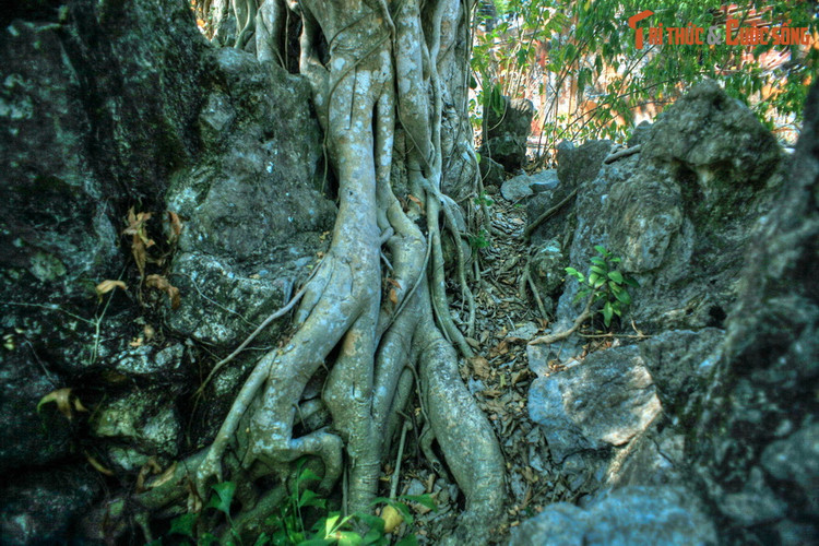 Da mat voi tuyet pham hon non bo trong Hoang thanh Hue-Hinh-8