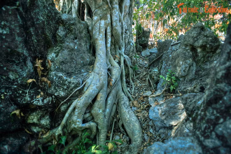 Da mat voi tuyet pham hon non bo trong Hoang thanh Hue-Hinh-8