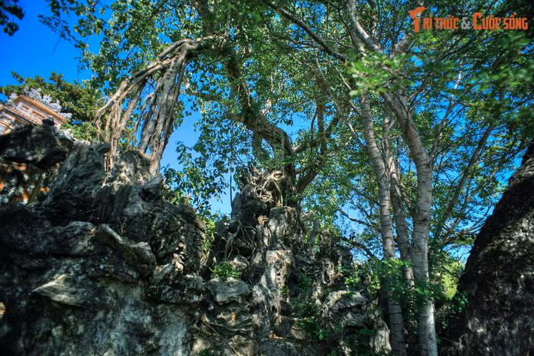 Da mat voi tuyet pham hon non bo trong Hoang thanh Hue-Hinh-7