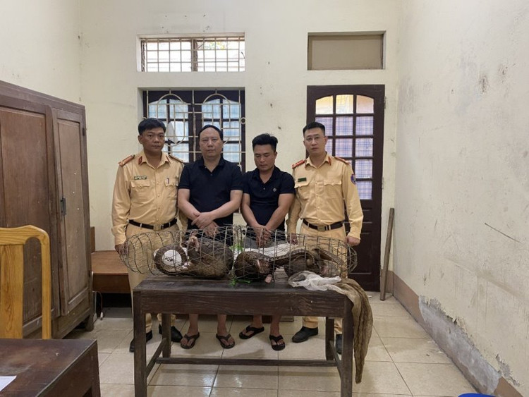 Nghe An: Bat giu nhieu vu van chuyen dong vat hoang da quy hiem