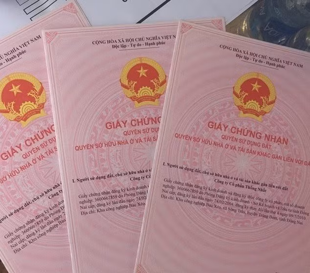 Tim bi hai trong vu an lua dao chiem doat tien o Ha Tinh