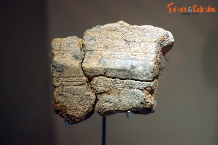 Vat chung quy hon vang ve ky nghe duc trong dong cua nguoi Viet co-Hinh-8