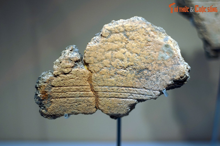 Vat chung quy hon vang ve ky nghe duc trong dong cua nguoi Viet co-Hinh-9