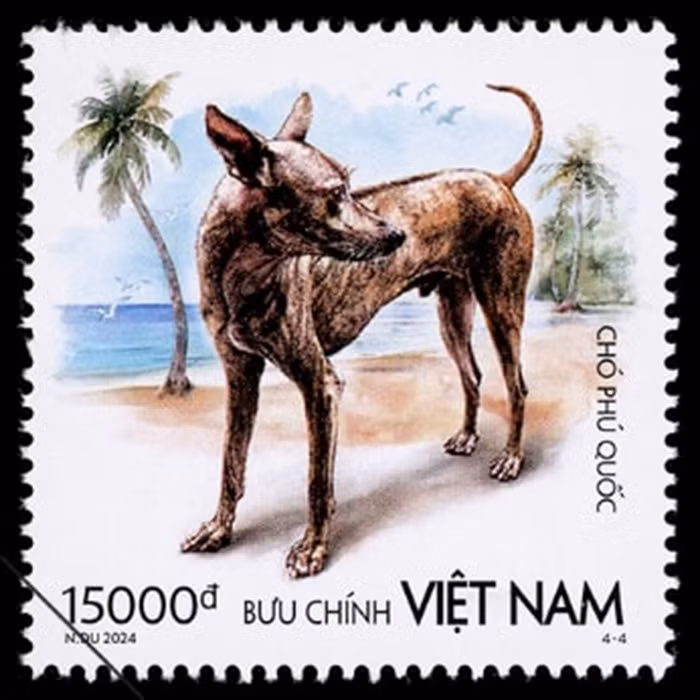Kham pha “tu dai quoc khuyen” duoc in hinh tren tem buu chinh VN-Hinh-13