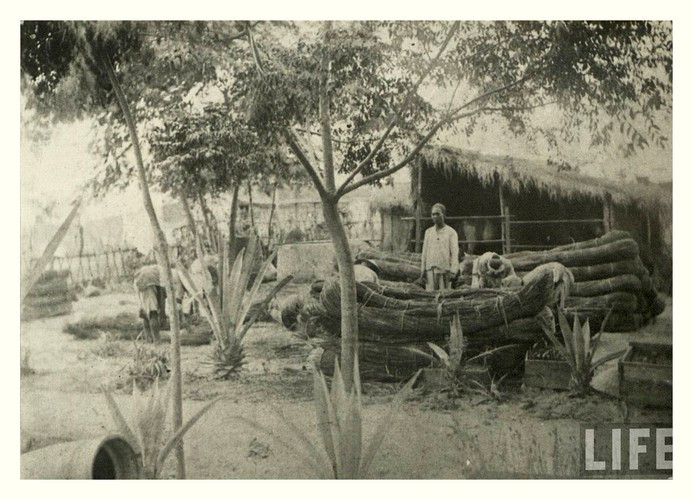 Thon thuc loat anh hiem ve pho co Hoi An thap nien 1940-Hinh-7