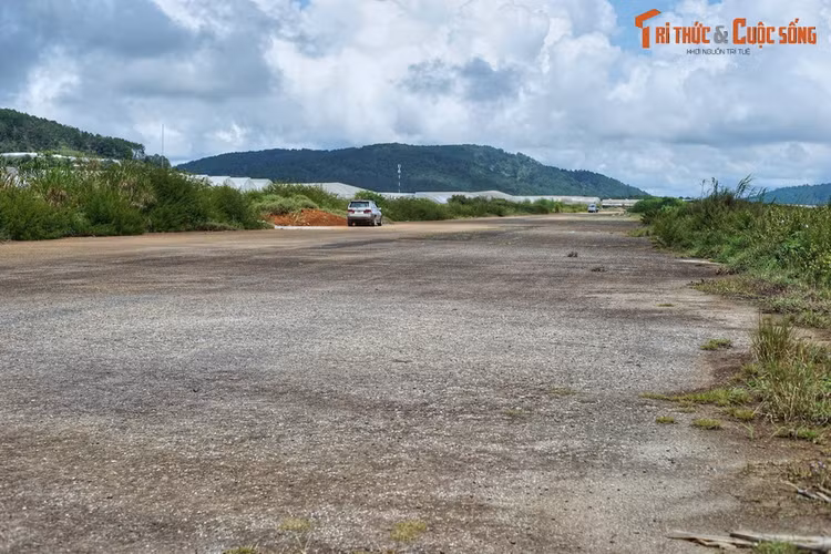 Kham pha ba dia diem mang ten “Cam Ly” cuc hot cua Da Lat-Hinh-10