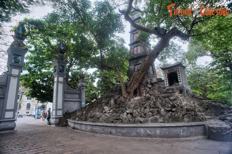 Kham pha ba “qua nui” noi tieng nam o ba quan trung tam Ha Noi-Hinh-6