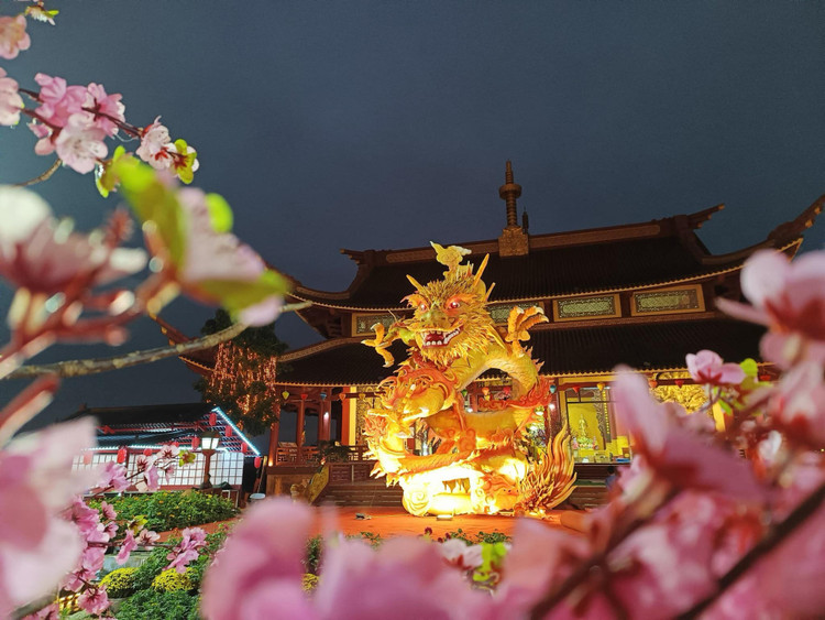 Ha Tinh: Khai quang linh vat “rong chau” van nguoi me-Hinh-4