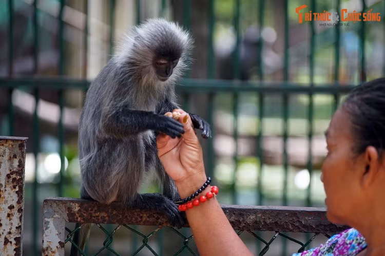 Top 10 dia diem phai ghe tham o phuong Sai Gon, TP HCM-Hinh-3