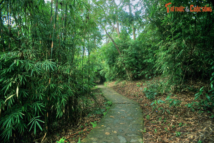 Thăm lán Nà Nưa - cội nguồn của những chiến công lịch sử - Hình 10 Tham lan Na Nua - coi nguon cua nhung chien cong lich su-Hinh-10