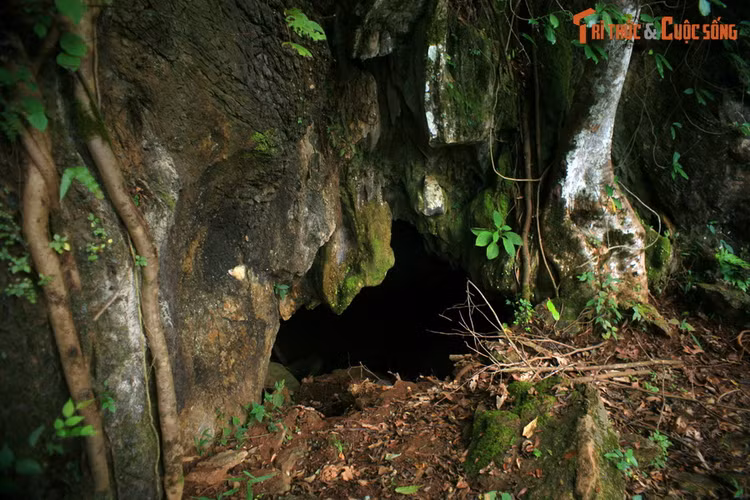 Cung duong “song lung khung long” dep sieu thuc giua Son La va Dien Bien-Hinh-14