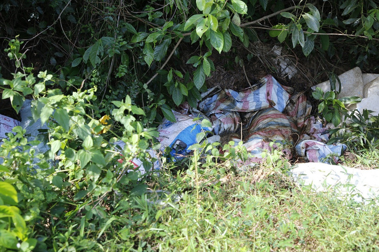 Quang Binh: Lon chet vut day dong, moi truong bi o nhiem nghiem trong