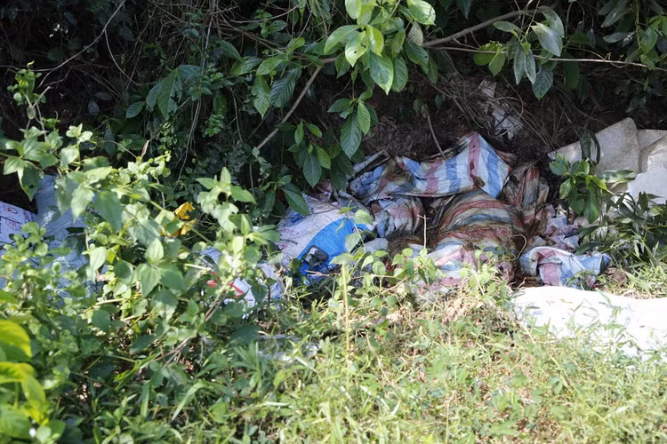 Quang Binh: Lon chet vut day dong, moi truong bi o nhiem nghiem trong