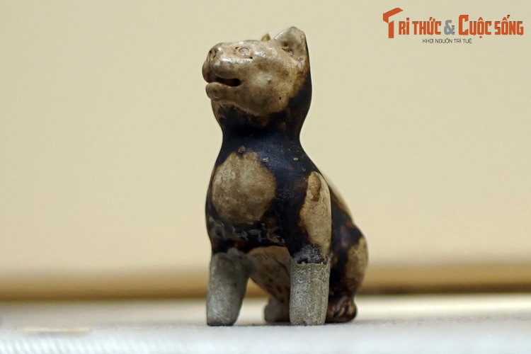 Chiem nguong buc tuong meo ngan tuoi co 1-0-2 Viet Nam-Hinh-6