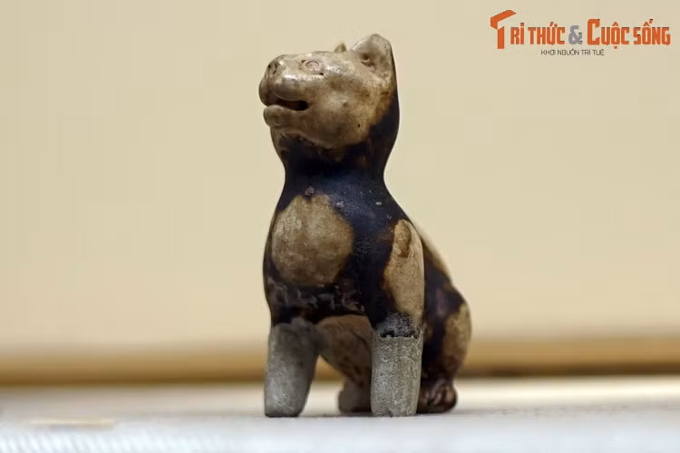 Chiem nguong buc tuong meo ngan tuoi co 1-0-2 Viet Nam-Hinh-6