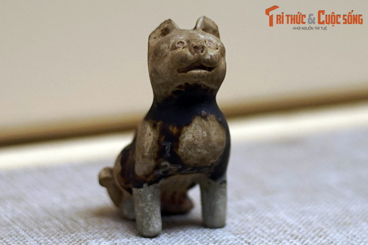 Chiem nguong buc tuong meo ngan tuoi co 1-0-2 Viet Nam-Hinh-7