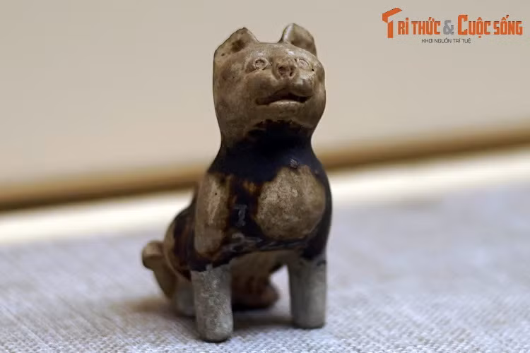 Chiem nguong buc tuong meo ngan tuoi co 1-0-2 Viet Nam-Hinh-7