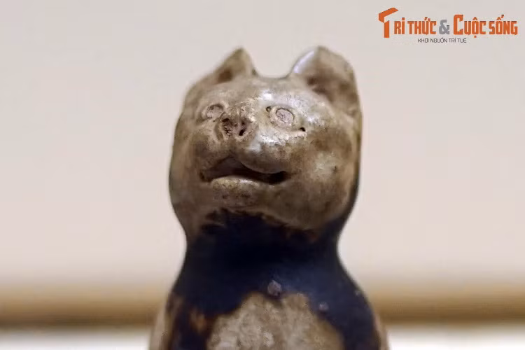 Chiem nguong buc tuong meo ngan tuoi co 1-0-2 Viet Nam-Hinh-4