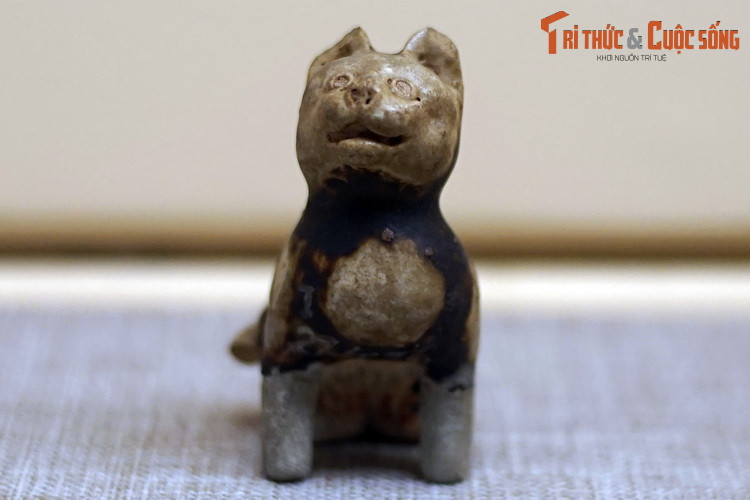 Chiem nguong buc tuong meo ngan tuoi co 1-0-2 Viet Nam-Hinh-8