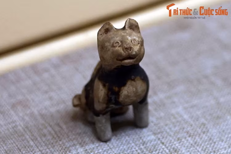 Chiem nguong buc tuong meo ngan tuoi co 1-0-2 Viet Nam-Hinh-3