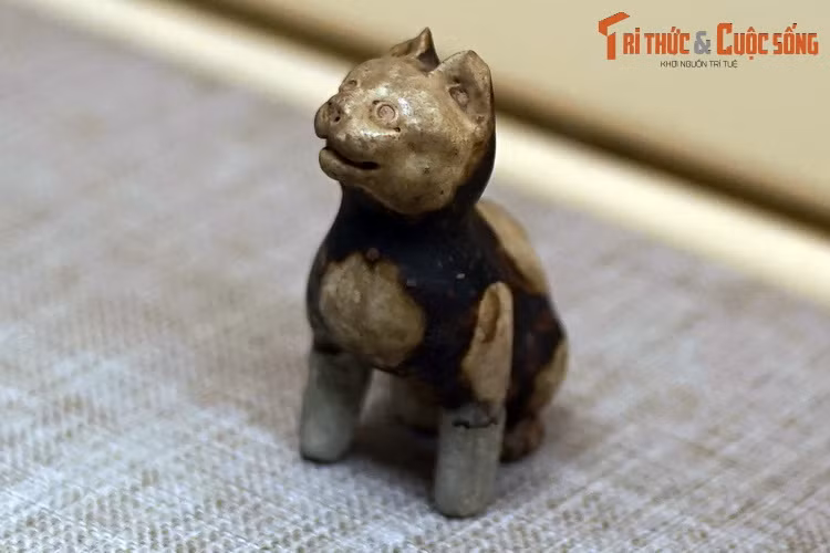 Chiem nguong buc tuong meo ngan tuoi co 1-0-2 Viet Nam-Hinh-10