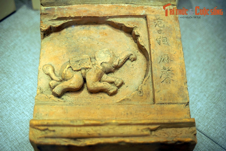 Kham pha “vuon bach thu” tren nhung vien gach tram tuoi Viet Nam-Hinh-10